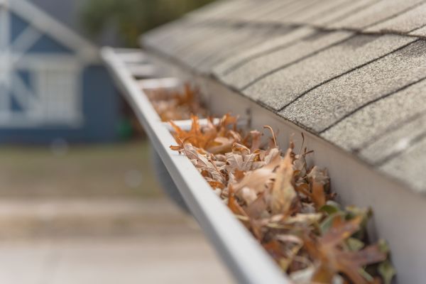 Leaf Barrier Installation in Maineville